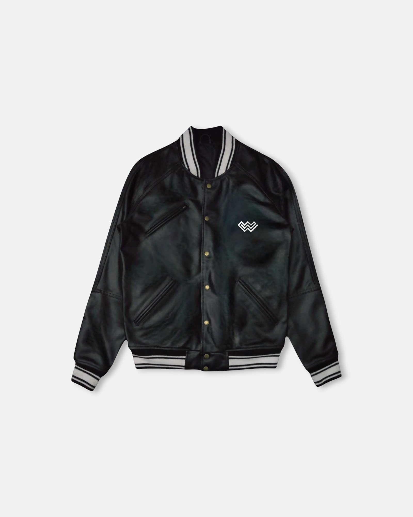 Birch Varsity Vegan Leather Jacket